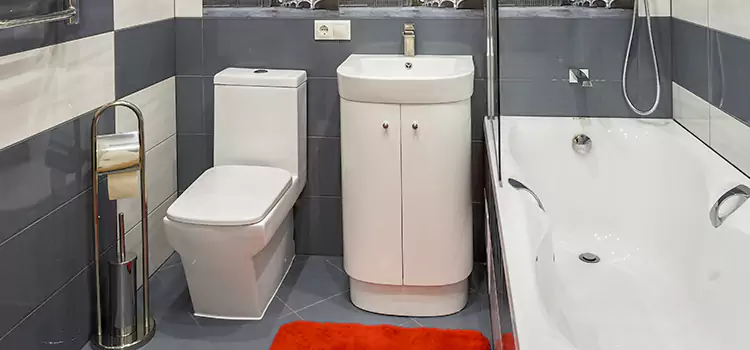 Hansgrohe Shaving Mirror Bayonne